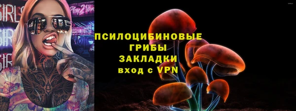 крисы Пересвет