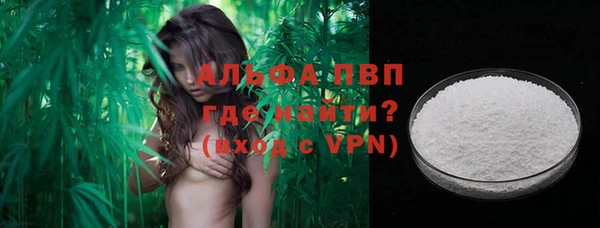 дживик Пестово