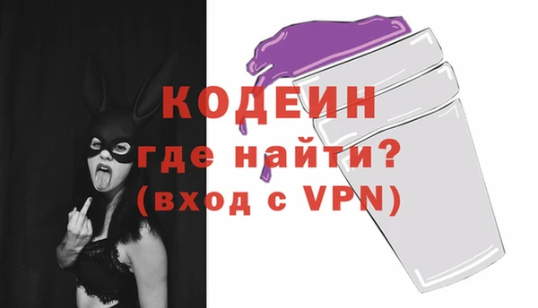 дживик Пестово